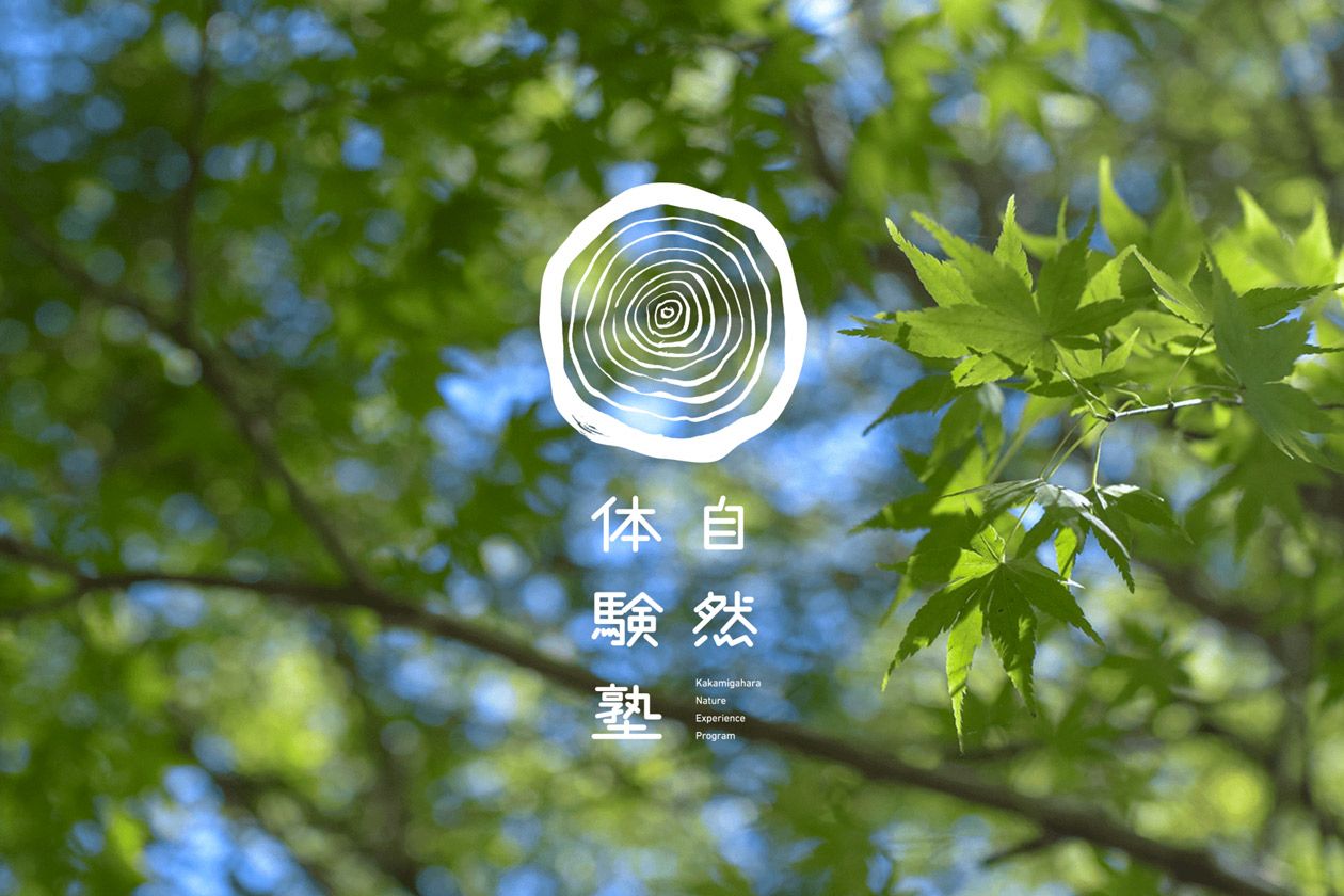 自然体験塾 / logo, web